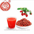 Fabricante de productos alimenticios secos Goji Berry Berries Goji